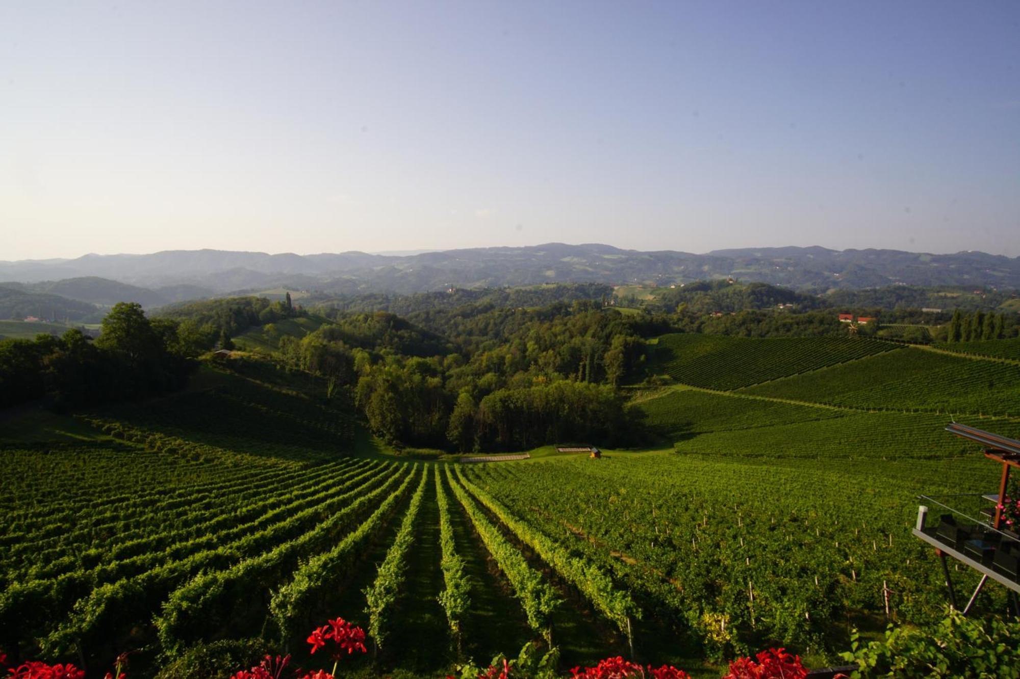 Mahorko Wein Wellness Wasserbueffel Glanz an der Weinstraße 外观 照片