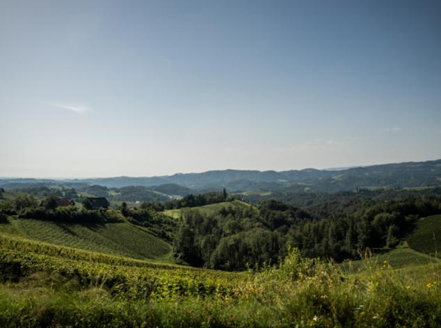 Mahorko Wein Wellness Wasserbueffel Glanz an der Weinstraße 外观 照片